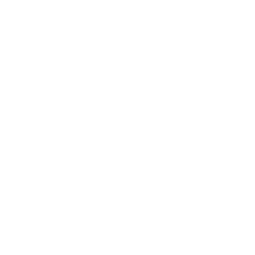 White Squirrel Concepts